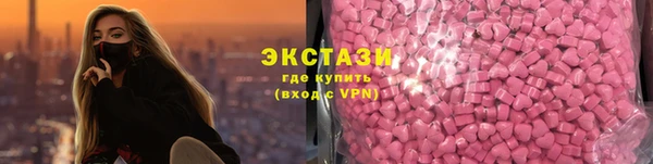гашик Алексин