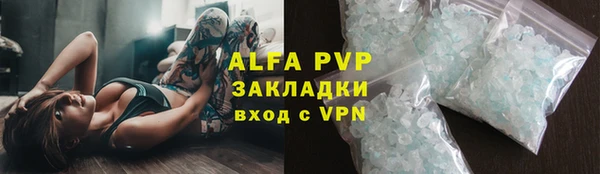 гашик Алексин