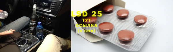 гашик Алексин