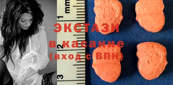 гашик Алексин