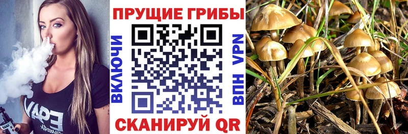кракен ССЫЛКА  Прохладный  Псилоцибиновые грибы ЛСД 