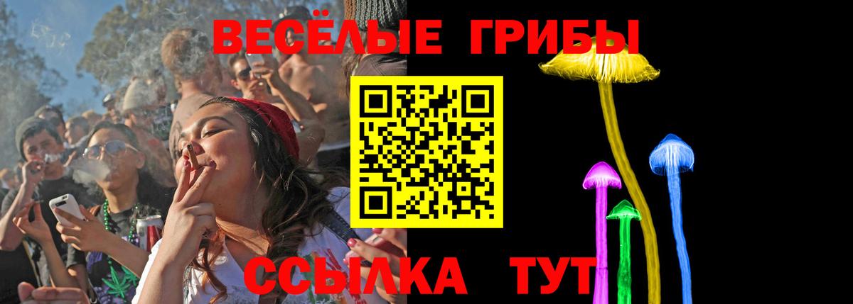 Галлюциногенные грибы Magic Shrooms  Псилоцибиновые грибы Magic Shrooms  Прохладный  Вход с VPN 