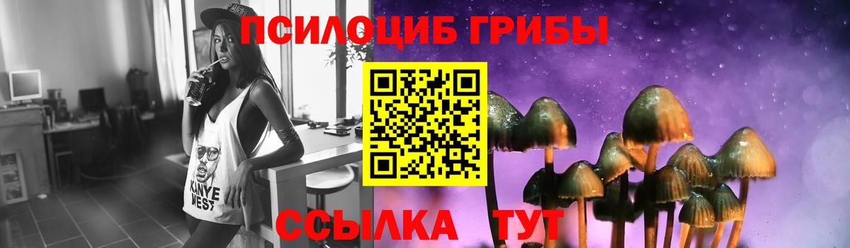 Псилоцибиновые грибы Psilocybine cubensis Прохладный