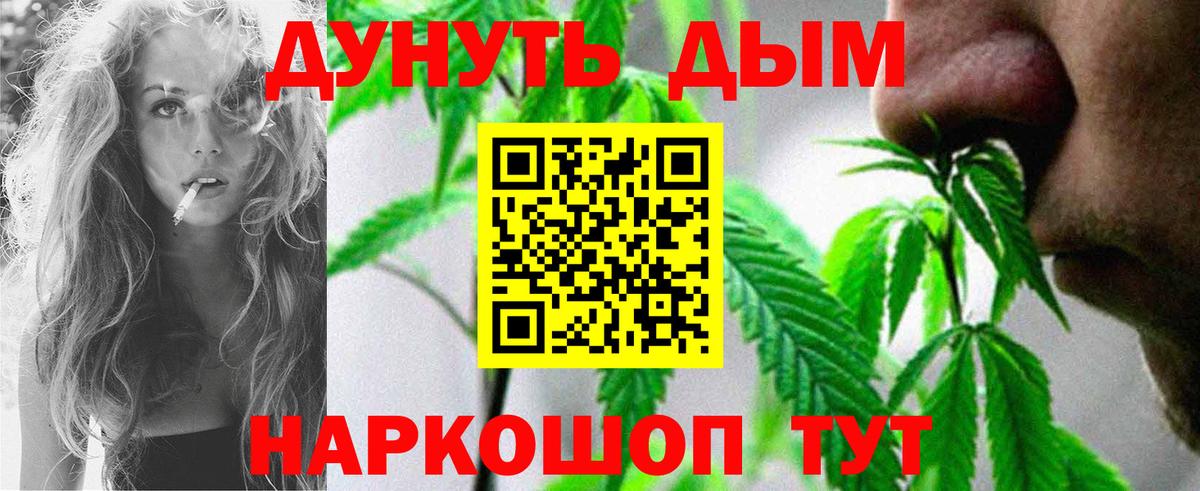 МАРИХУАНА сатива Прохладный